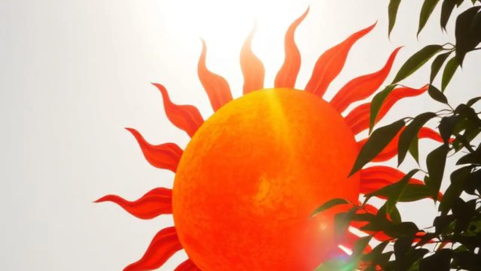 joke sun